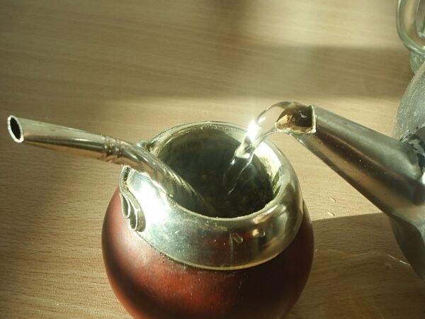 La Yerba Mate – Como preparar el mejor mate