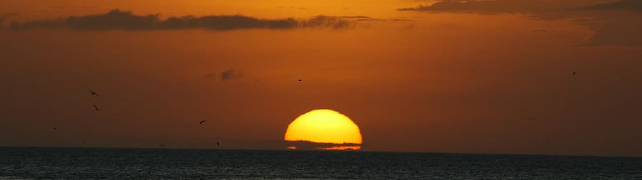 Pie de la Cuesta, Acapulco