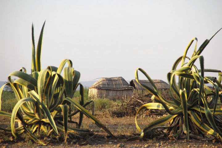 casa kikapú
