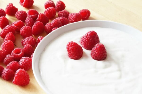 yogurth casero