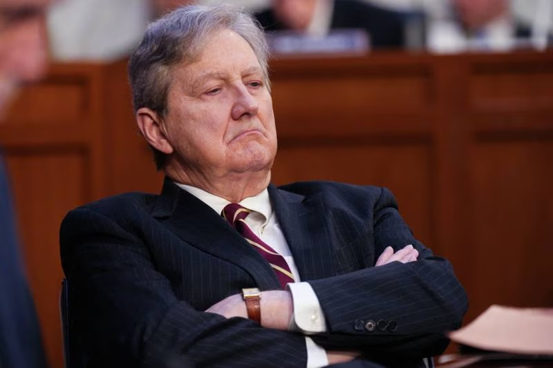 john kennedy comida para gatos