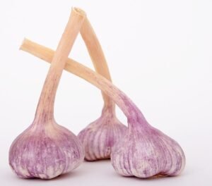 ajos medicinales usos medicinales del ajo