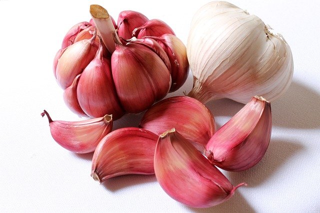 El Ajo, un antibiótico ancestral
