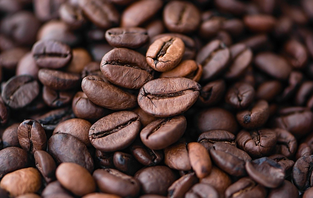 Café: la bebida que organizó el mundo y nunca pidió las gracias