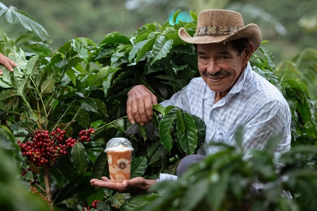 precios-del-cafe-origen