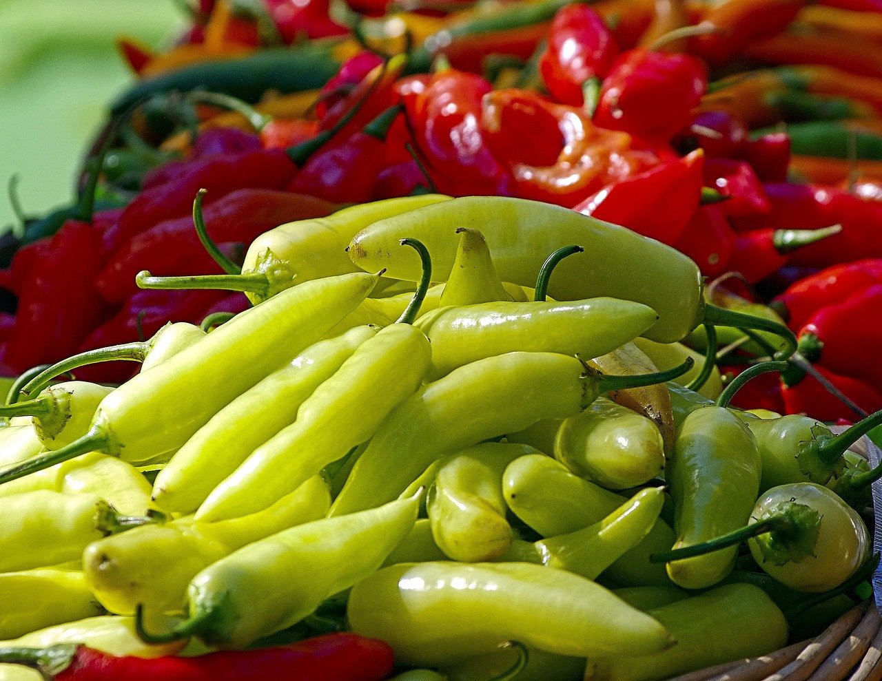 Chile: el Pirómano de la Cocina