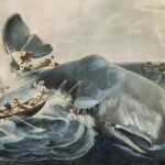 Ilustración del ballenero Pequod en el Pacífico. En sus cubiertas Herman Melville construyó el mundo entero.
